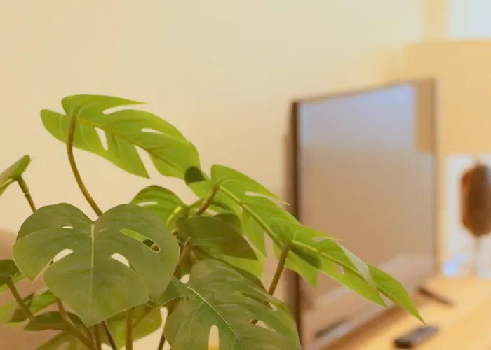 Apartment Rocamar Centro Playa San Lorenzo - Parking Gratuito