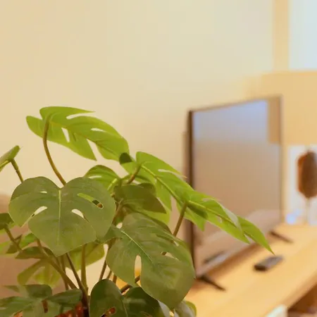 Apartment Rocamar Centro Playa San Lorenzo - Parking Gratuito